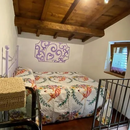 Grazia Family Barga